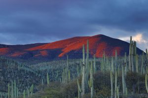 fun things to do in arizona for couples