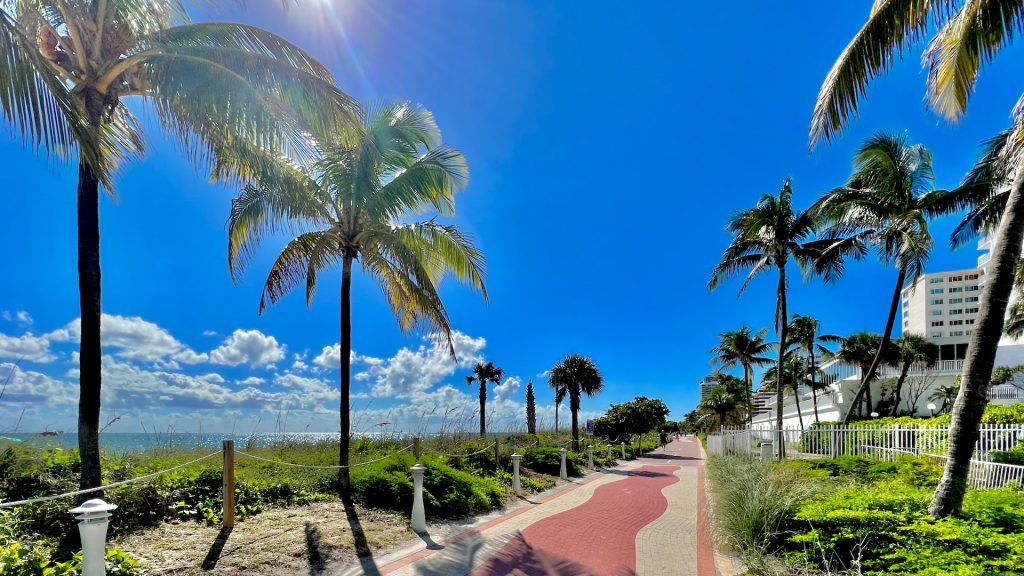 palm tree lined walkway between buildings and beach