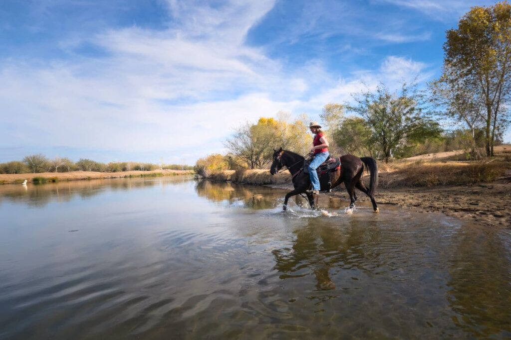 Riding a horse across a shallow river